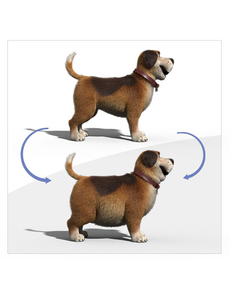 <p><strong class="custom_strong" style="color: rgb(0, 0, 0); background-color: transparent;">Обратите внимание на симптомы. </strong><span style="color: rgb(0, 0, 0); background-color: transparent;">У вашей собаки скорее всего избыточный вес, если у нее плохо прощупываются ребра, пропала  идимая линия талии, затруднена ходьба, отдышка, повышенная сонливость или апатичность. Если вы подозреваете, что ваша собака набирает вес, проконсультируйтесь с ветеринарным специалистом.</span></p>