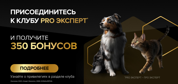 Начисление повышенного кэшбека 350 баллов за вступление в клуб PRO ЭКСПЕРТ 709 34 Начисление повышенного кэшбека 350 баллов за вступление в клуб PRO ЭКСПЕРТ 709 34