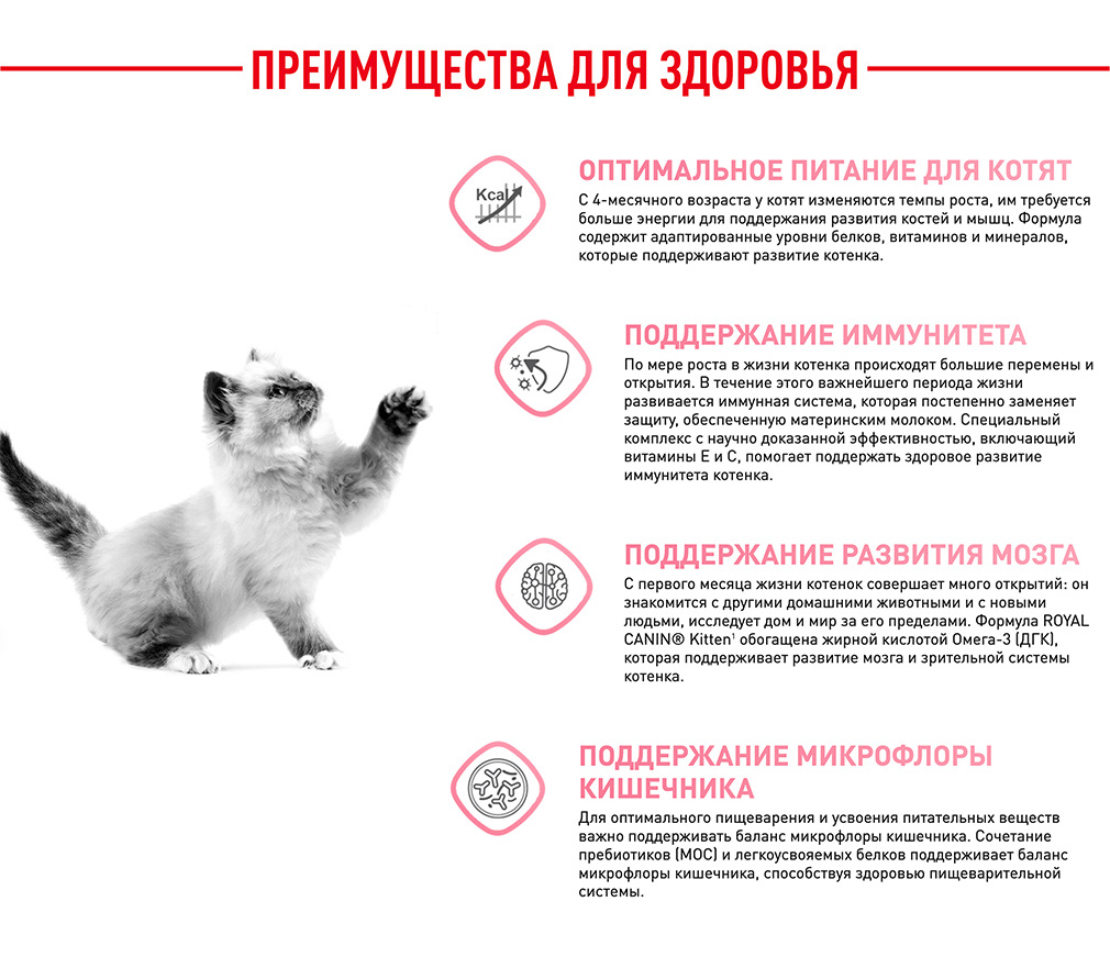 Royal Canin корм сухой полнорационный для котят в период второй фазы роста  в возрасте до 12 месяцев, роял канин для котят, royal canin для котят, роял  канин киттен, royal canin kitten, royal