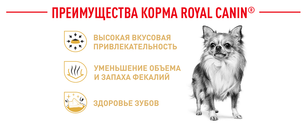 преимущества корма Royal Canin