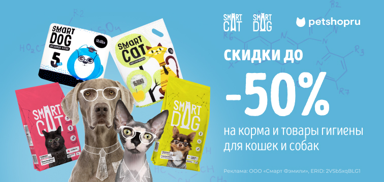 Скидки до 50% на корма и товары гигиены для кошек и собак Smart Cat&Dog 666 Скидки до 50% на корма и товары гигиены для кошек и собак Smart Cat&Dog 666