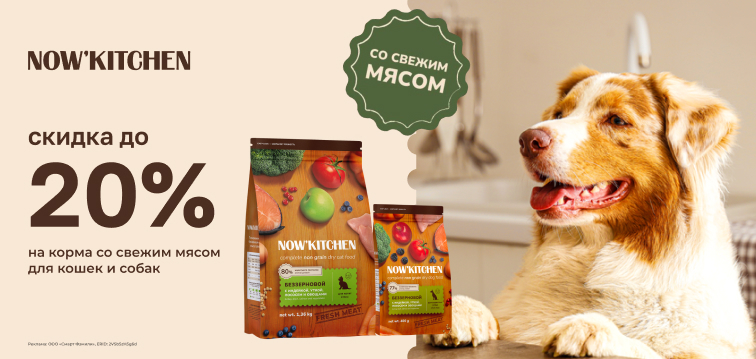 Скидка до 20% на корма со свежим мясом для кошек и собак NOW'KITCHEN 570