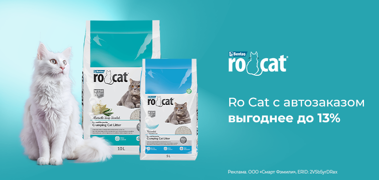 37П Ro Cat с автозаказом выгоднее до 13%