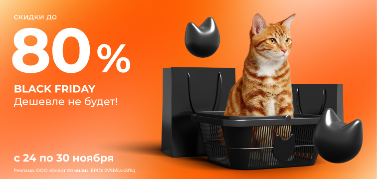 РАСПРОДАЖА BLACK FRIDAY 2025