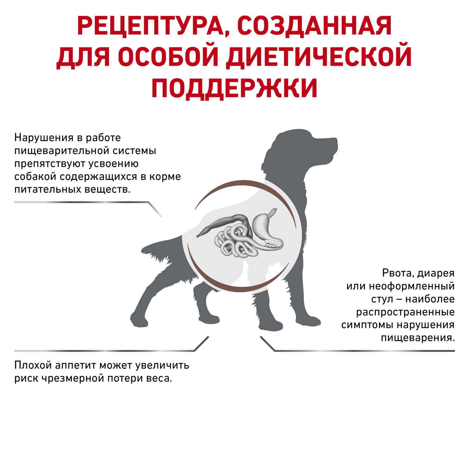 Для собак при нарушении пищеварения (15 кг) Royal Canin (вет.корма) Для собак при нарушении пищеварения (15 кг) - фото 3