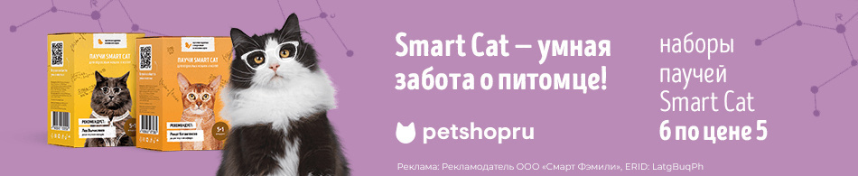 Комбо-боксы Smart Cat: 6 паучей по цене 5