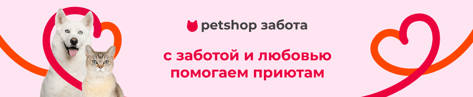 Помогаем приютам вместе с проектом Petshop.Забота!