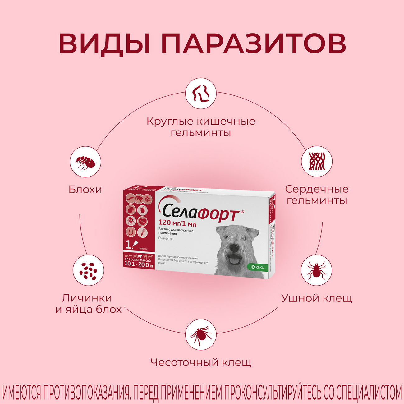 Селафорт инструкция