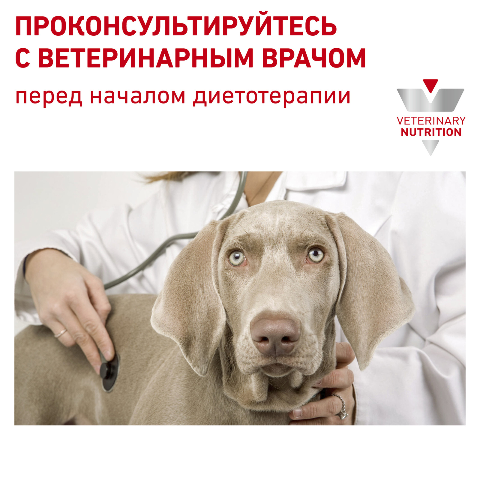 для собак при сахарном диабете (1,5 кг) Royal Canin (вет.корма) для собак при сахарном диабете (1,5 кг) - фото 9