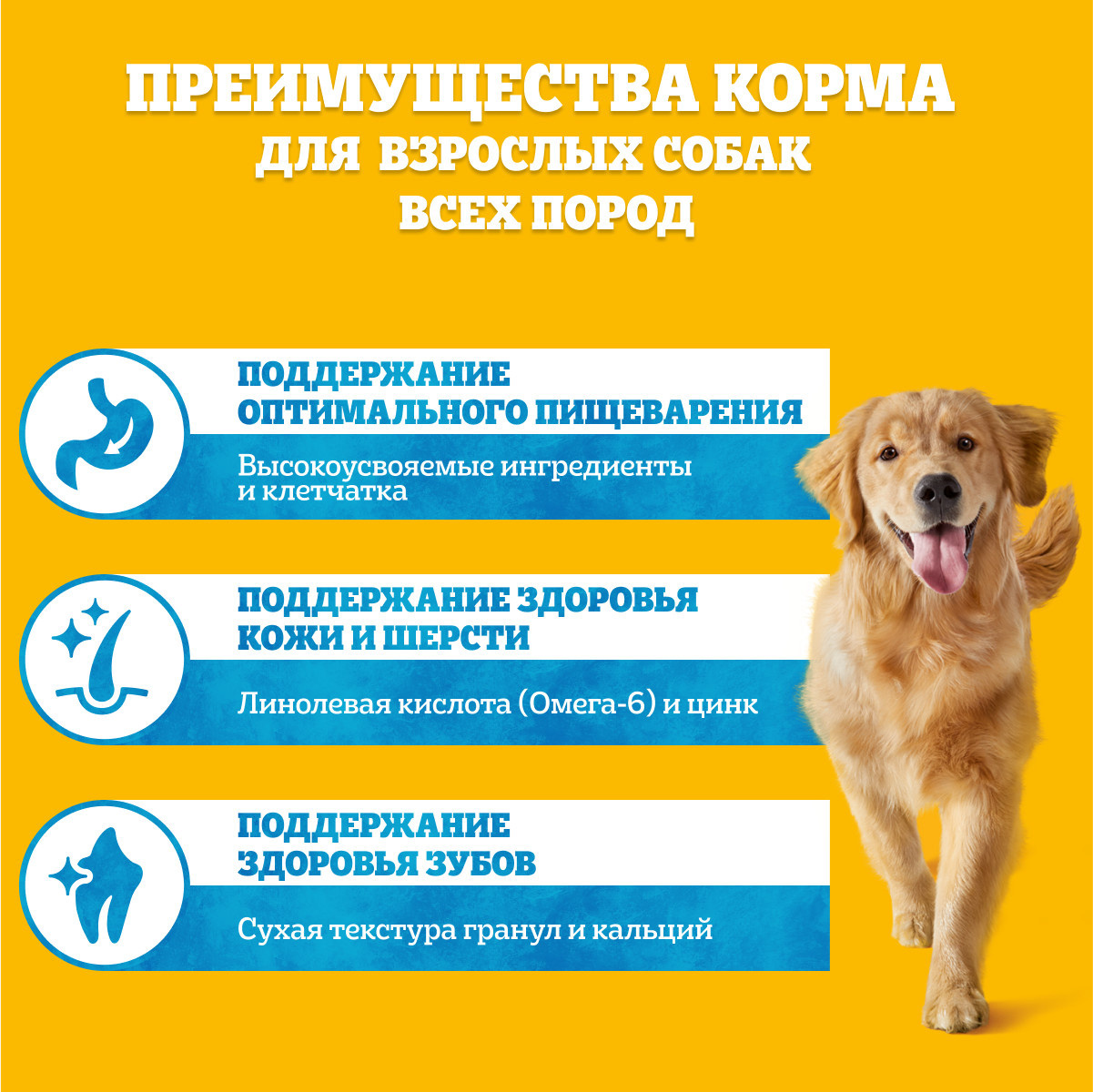 Корм Pedigree сухой корм для взрослых собак всех пород, с говядиной, Vital  Protection | Petshop.ru