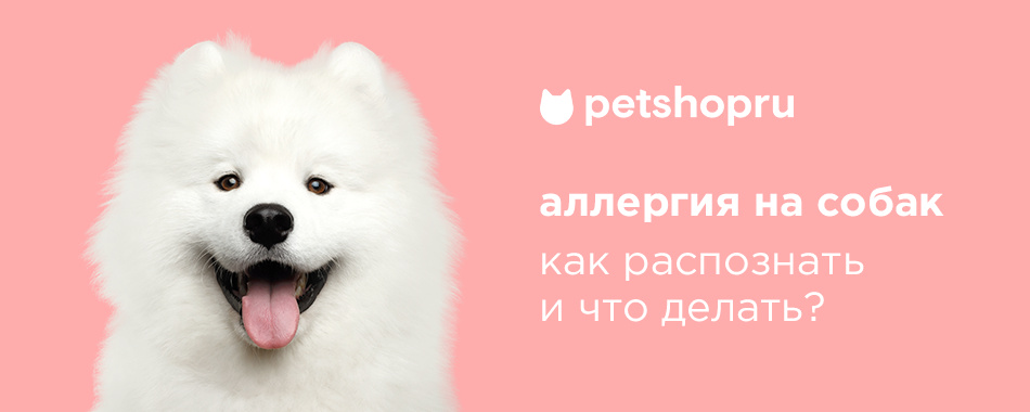 Может ли быть аллергия на собаку, признаки и как избавиться от аллергии в  блоге Petshop.ru