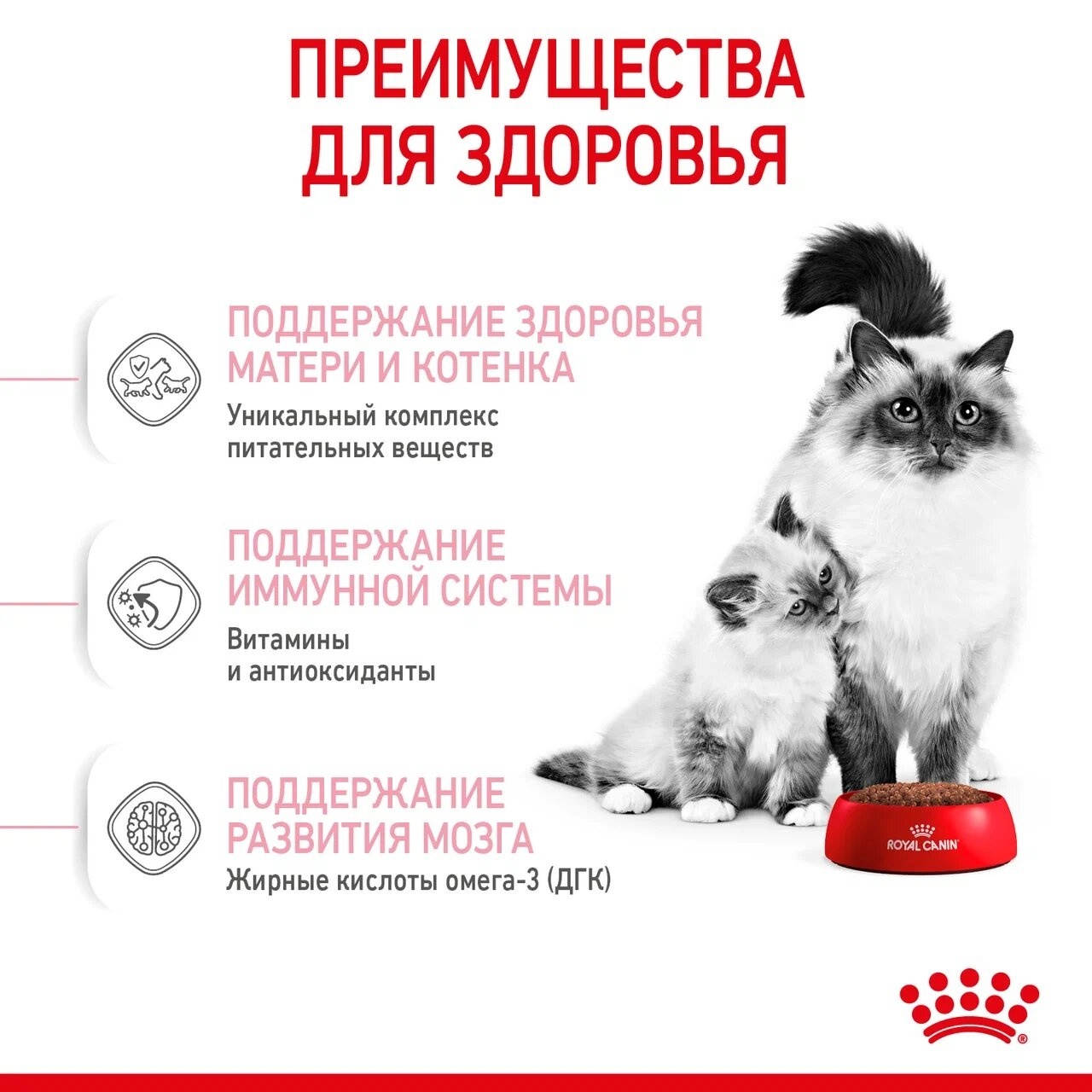 Корм Royal Canin корм для котят 1-4 месяцев и для беременных/лактирующих  кошек, royal canin babycat, royal canin mother, royal canin mother babycat  | Petshop.ru