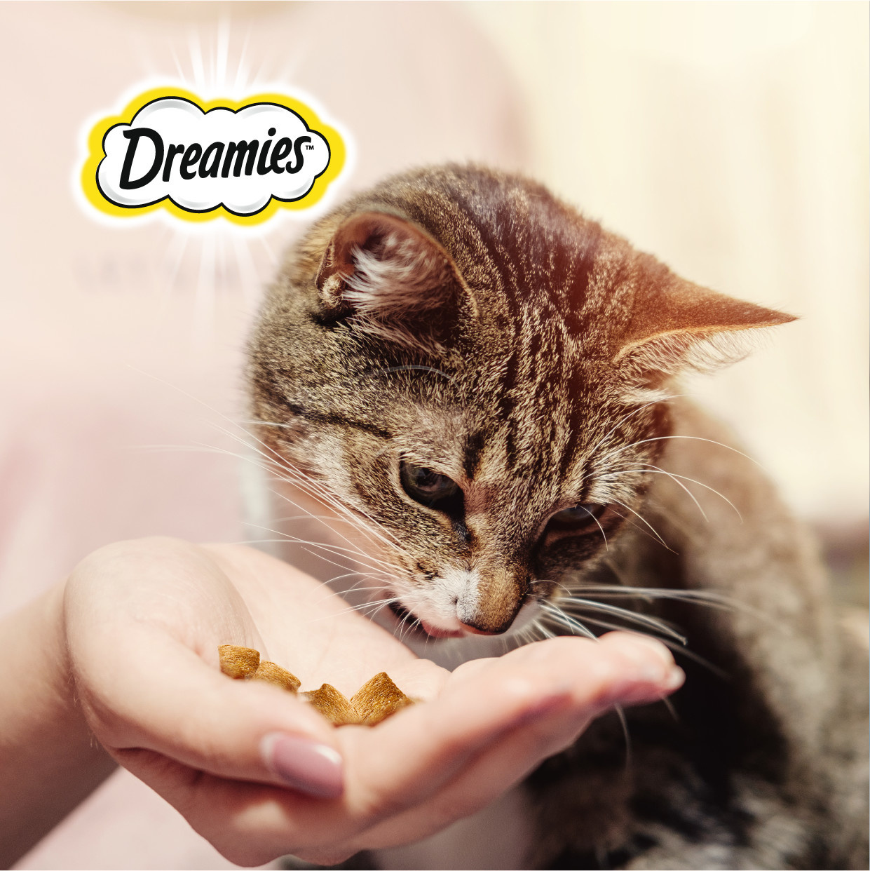 Dreamies лакомство для взрослых кошек «MIX (Микс) лосось, сыр» | Petshop.ru