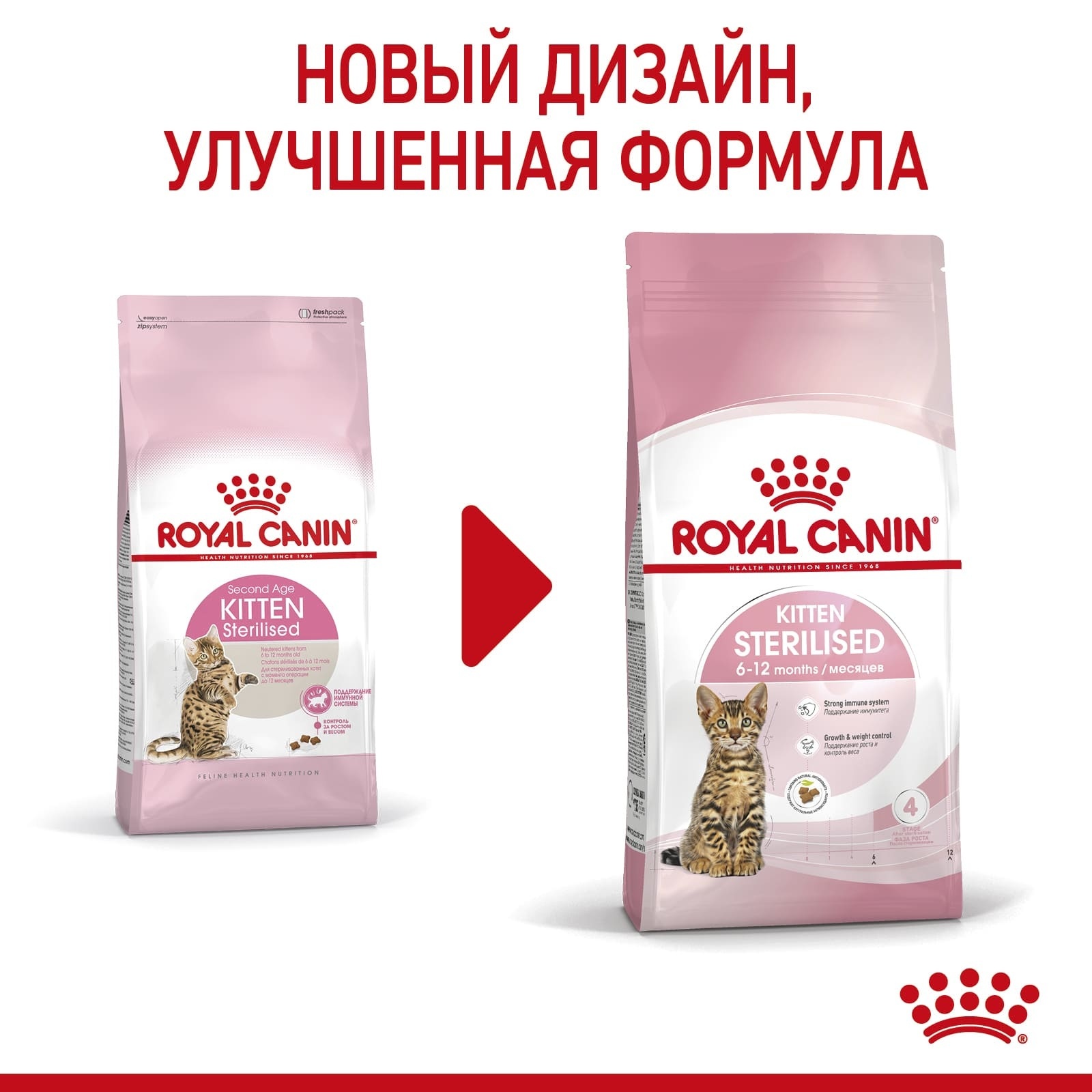 Корм Royal Canin корм сухой сбалансированный для стерилизованных котят до  12 месяцев, роял канин для котят, royal canin для котят, роял канин киттен, royal  canin kitten, royal kitten, canin kitten, роял для