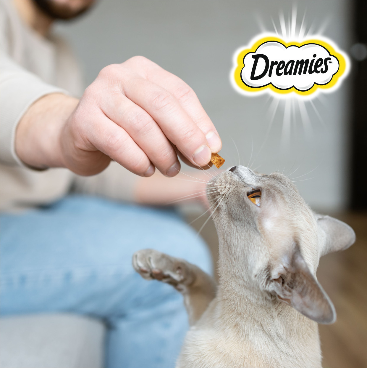 Dreamies лакомство для кошек подушечки с сыром | Petshop.ru