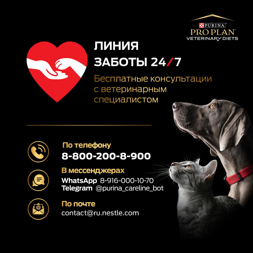 Purina Pro Plan пищевая добавка Feline Nutritional Complement для котят и  кошек для нормализации микрофлоры желудочно-кишечного тракта, FortiFlora,  Микробиом | Petshop.ru