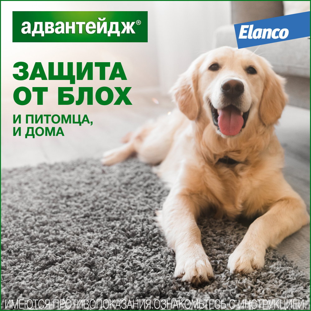 Elanco капли на холку Адвантейдж® от блох для собак более 25 кг – 4 пипетки  | Petshop.ru