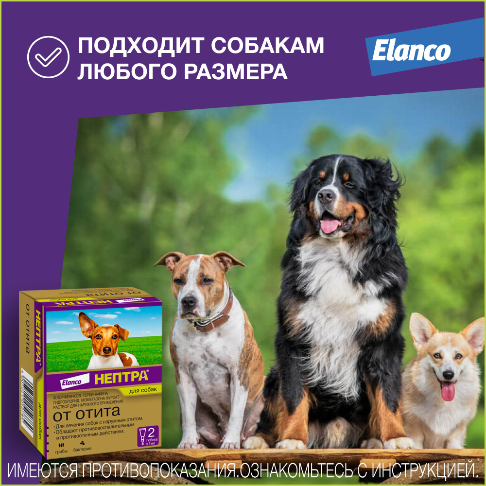 Elanco нептра® раствор для лечения наружного отита у собак | Petshop.ru