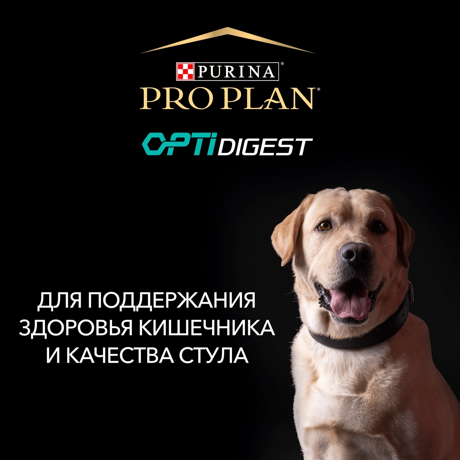 Корм Purina Pro Plan для взрослых собак мелких и карликовых пород с чувствительным пищеварением, с высоким содержанием ягненка (3,17 кг) Purina Pro Plan - фото 4