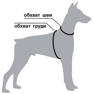Примерные размеры по породам собак