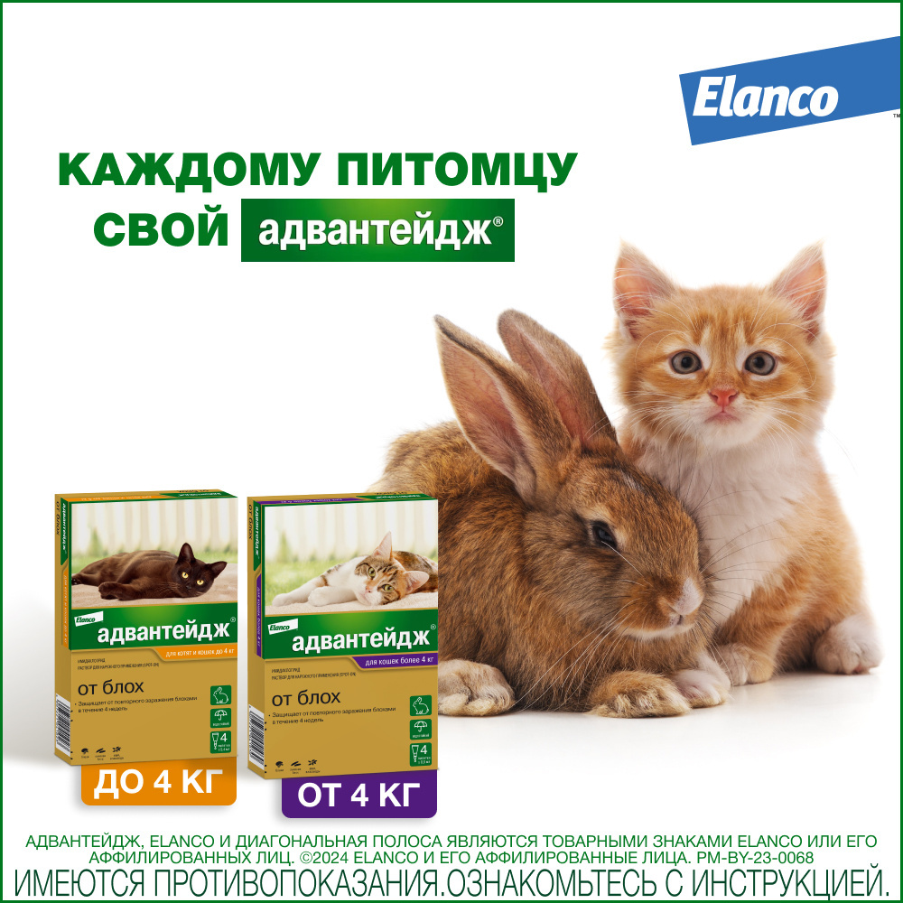 Elanco капли на холку Адвантейдж® от блох для котят и кошек до 4 кг – 4  пипетки | Petshop.ru