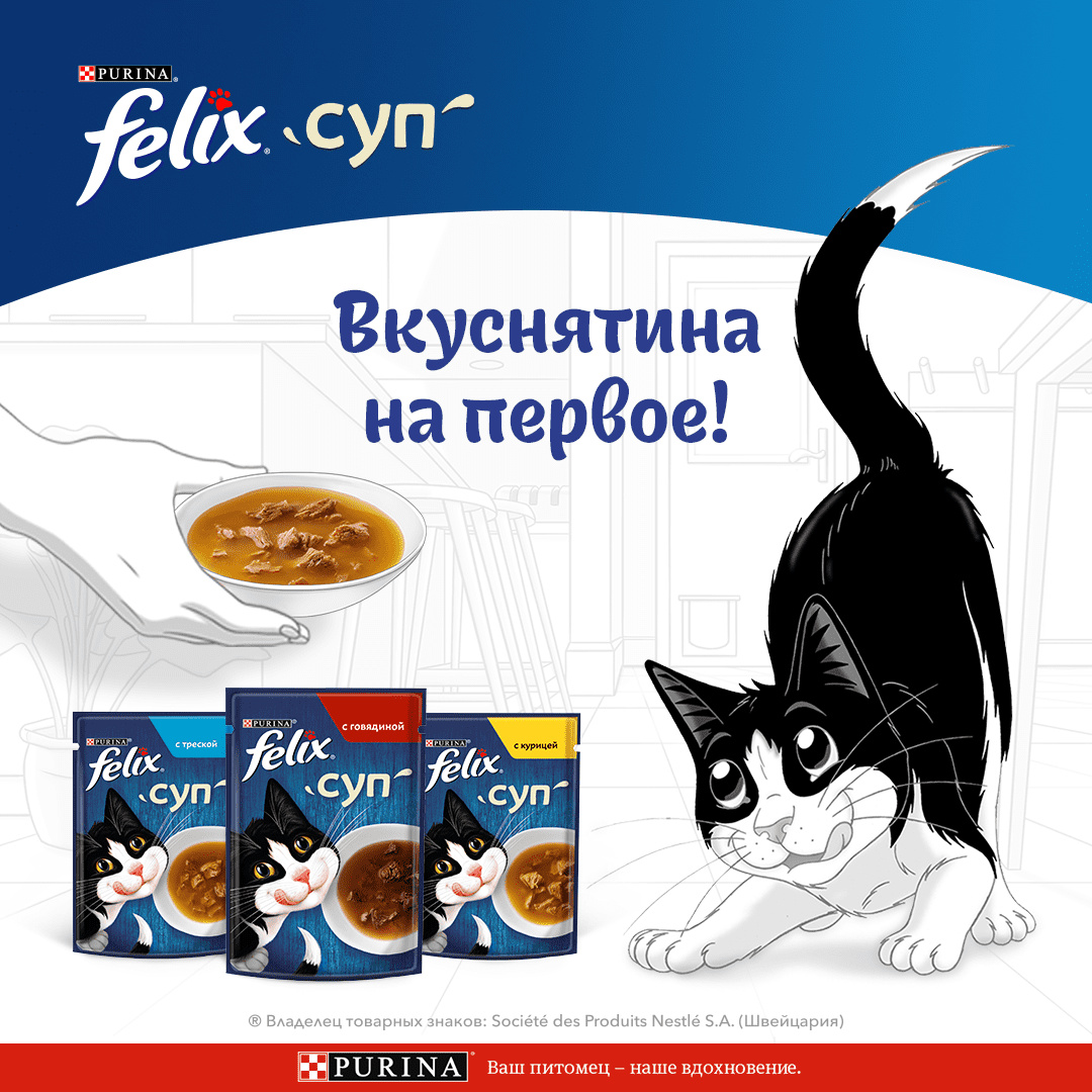 Felix суп для кошек, с курицей, Soup Chicken | Petshop.ru