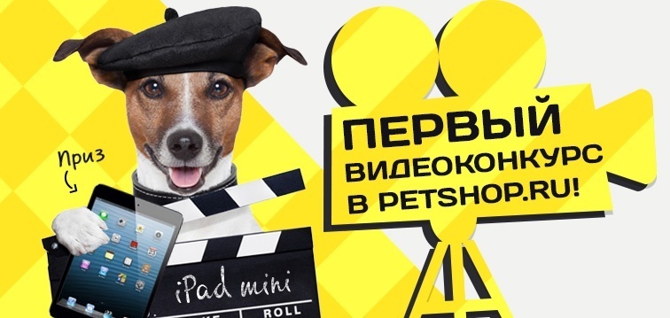 Итоги видеоконкурса в Petshop.ru!