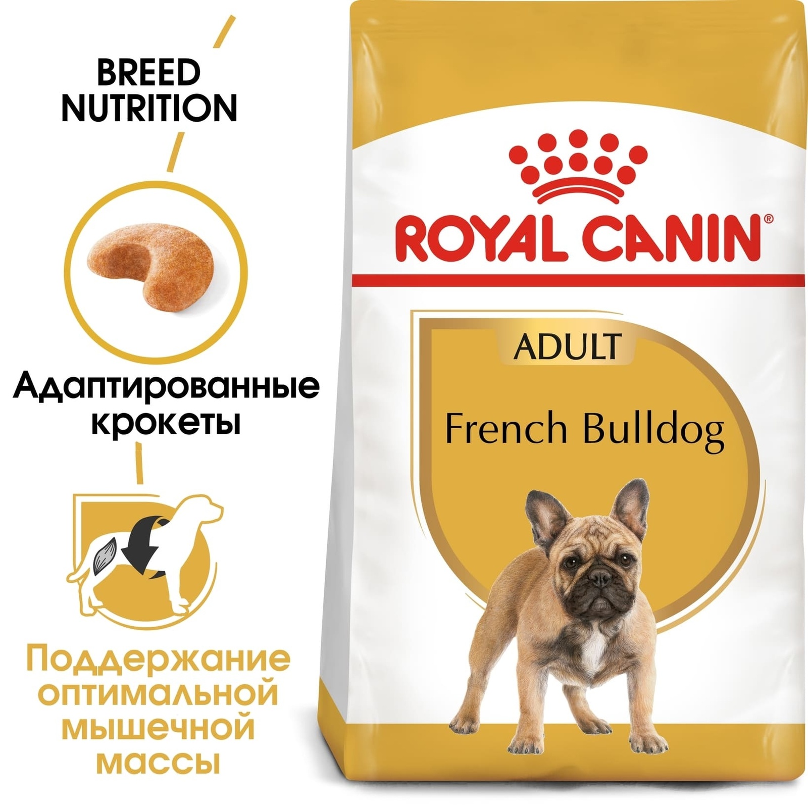 French bulldog pet hot sale shop