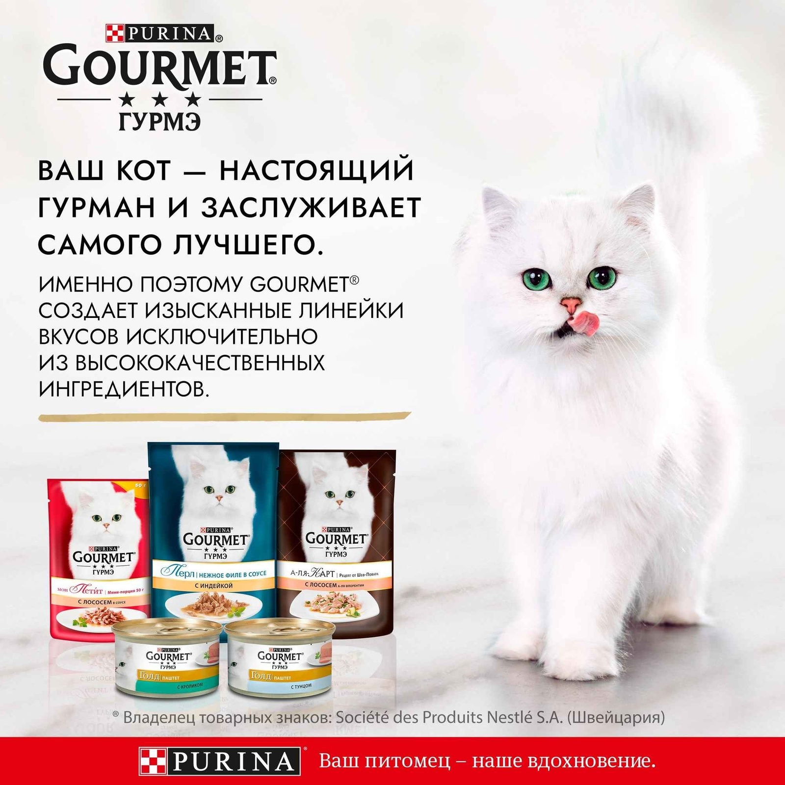 Гурмэ влажный корм, Мясной тортик для кошек, с говядиной и курицей |  Petshop.ru