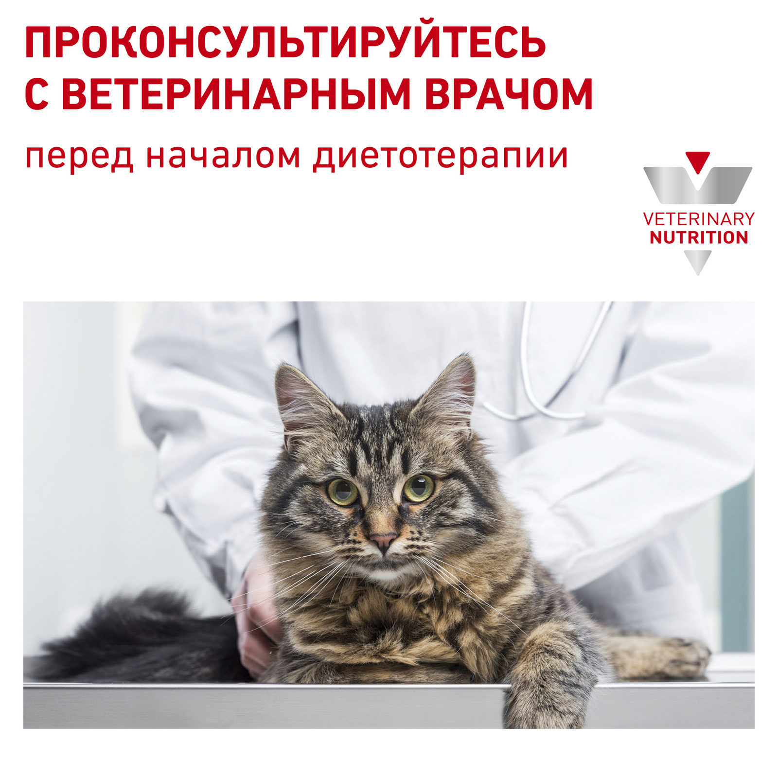 Для кошек при пищевой аллергии, с уткой (1,5 кг) Royal Canin (вет.корма) Для кошек при пищевой аллергии, с уткой (1,5 кг) - фото 9