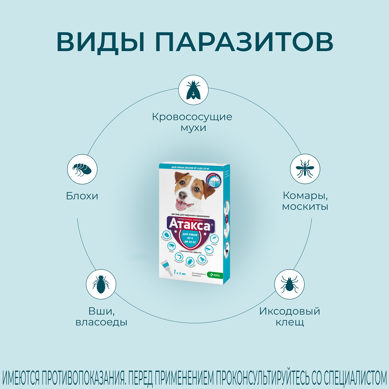 Атакса капли для собак инструкция по применению. Капли от клещей для собак атакса. Атакса капли для собак. Атакса