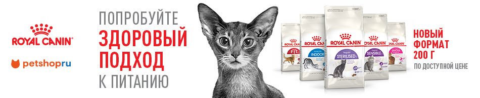 Встречайте новый формат сухих кормов для кошек Royal Canin