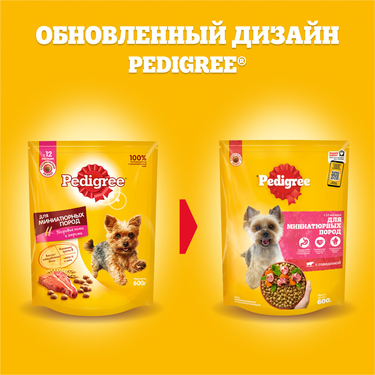 Корм Pedigree сухой корм для взрослых собак миниатюрных пород, с говядиной,  Vital Protection | Petshop.ru