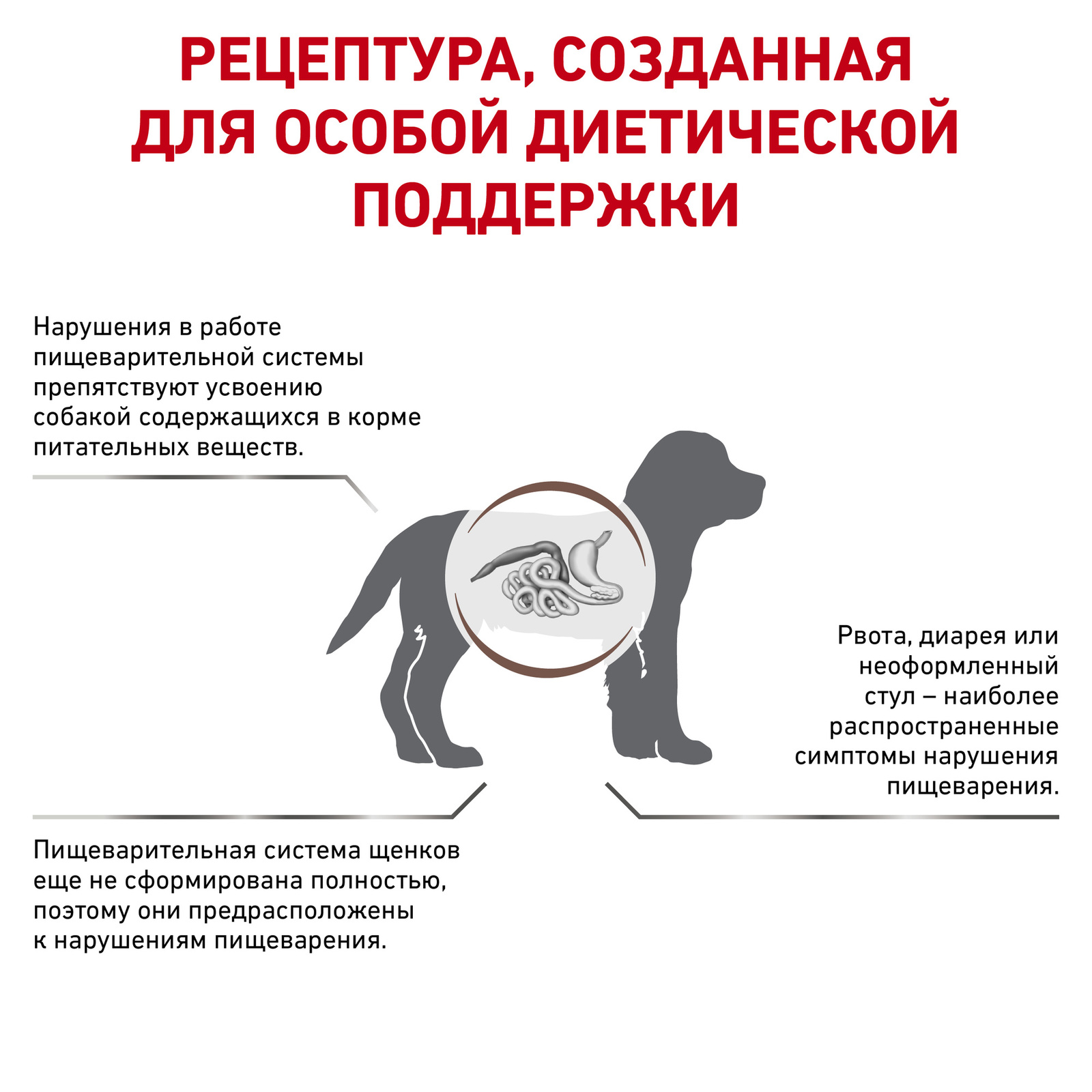 Корм для щенков Royal Canin Gastro intestinal gij29 при болезнях ЖКТ 1 кг. Штрихкод Франция Роял Канин. Корм для собак при расстройствах пищеварения