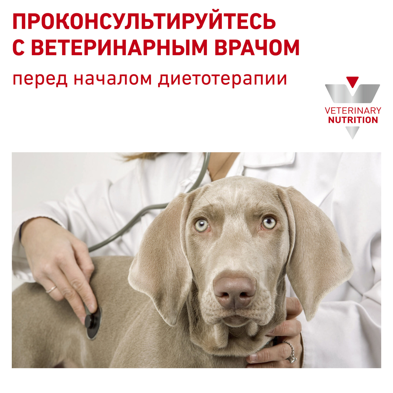 Для собак с пищевой непереносимостью, с уткой (14 кг) Royal Canin (вет.корма) Для собак с пищевой непереносимостью, с уткой (14 кг) - фото 8