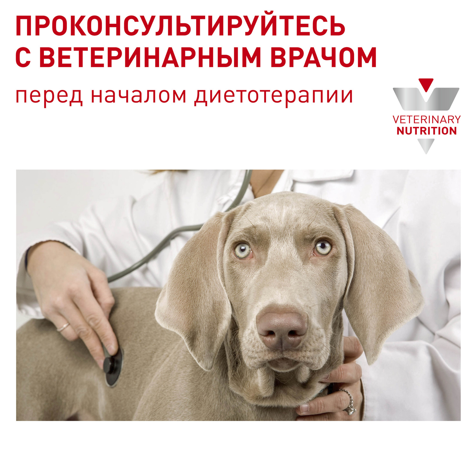Для кастрированных собак средних пород (3,5 кг) Royal Canin (вет.корма) Для кастрированных собак средних пород (3,5 кг) - фото 7
