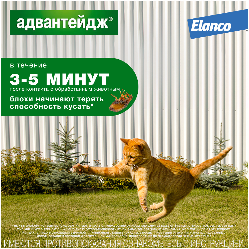 Elanco капли на холку Адвантейдж® от блох для кошек более 4 кг – 1 пипетка  | Petshop.ru