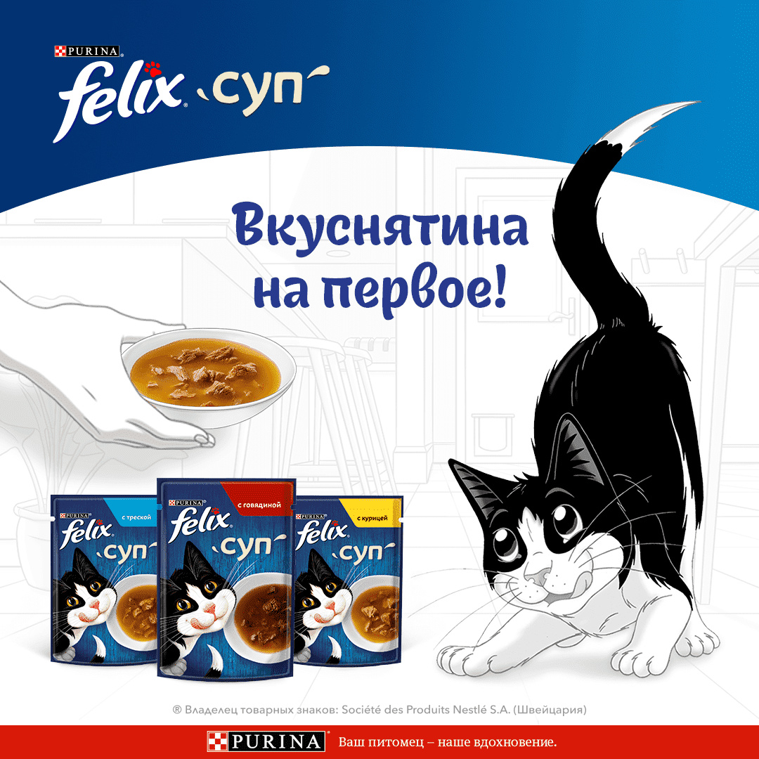 Felix Влажный корм для взрослых кошек, с говядиной, суп, Soup Beef |  Petshop.ru