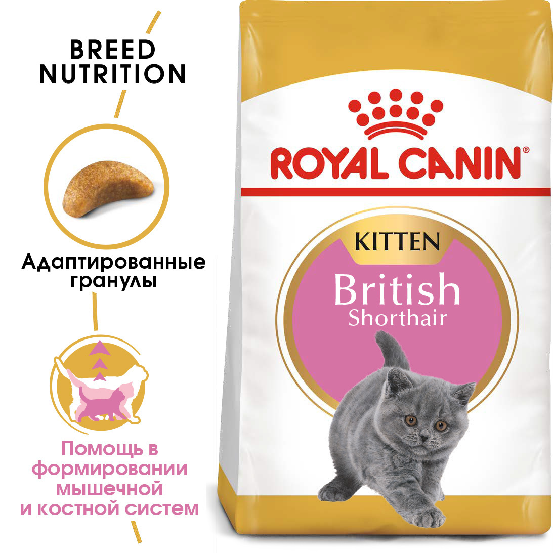 Для британских короткошерстных котят 4-12 мес. (2 кг) Royal Canin (сухие корма) Для британских короткошерстных котят 4-12 мес. (2 кг) - фото 2