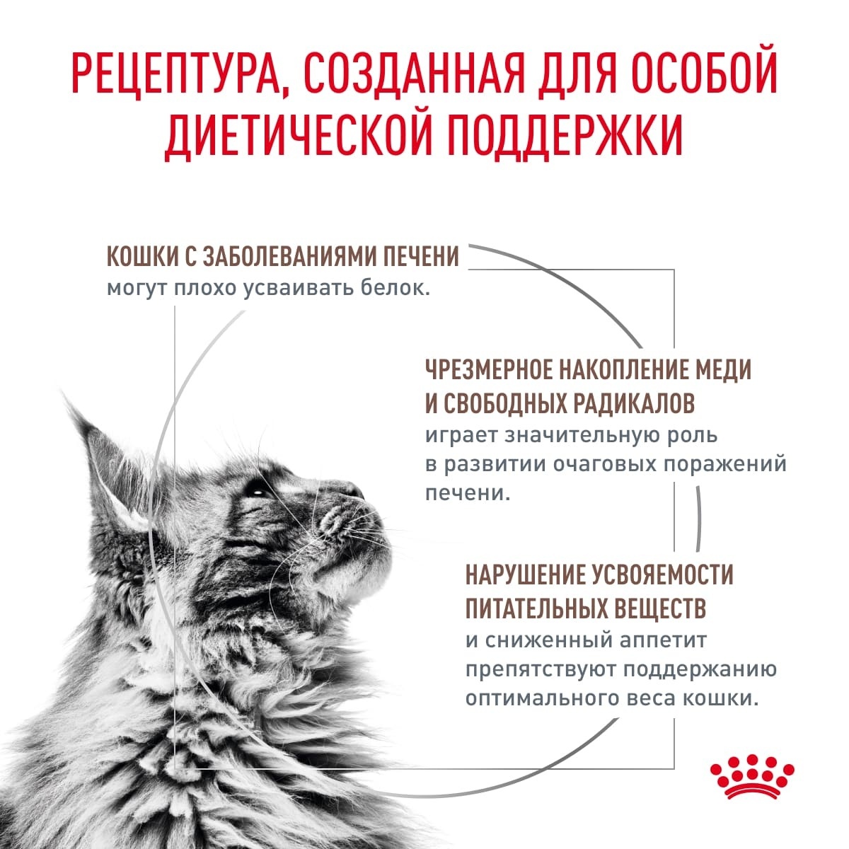 Royal Canin (вет.корма) для кошек 