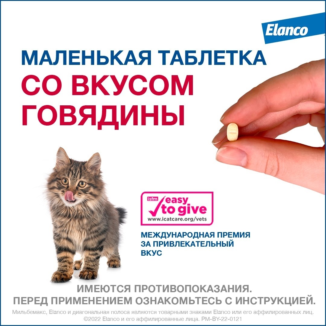 Эланко ветеринарные препараты для кошек
