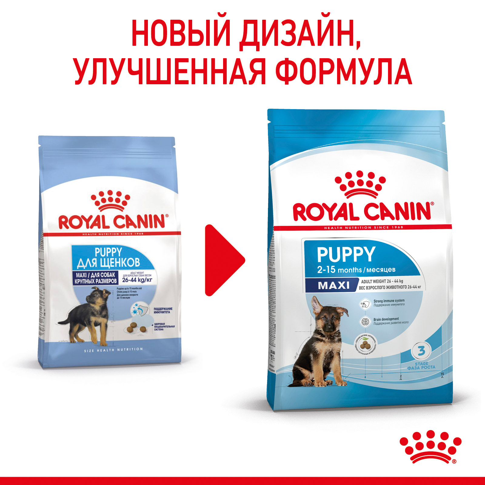 Royal canin puppy maxi схема кормления