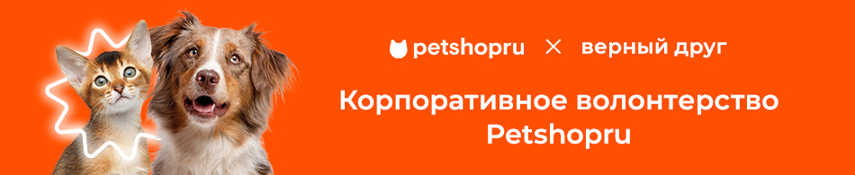 Первый корпоративный волонтерский выезд Petshop!