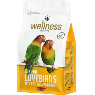 Корм полнорационный Wellness для средних попугаев
