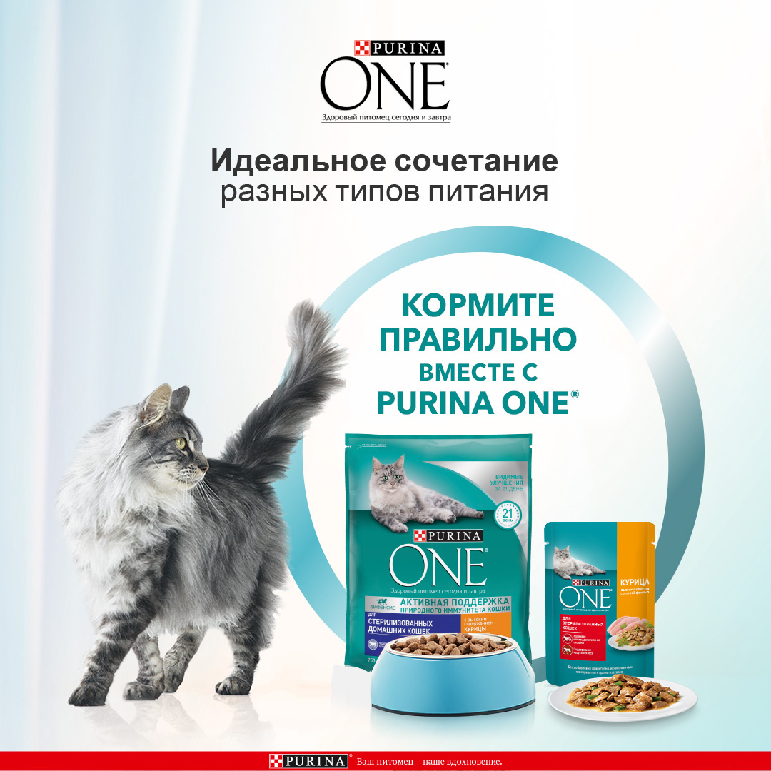 Корм PURINA ONE для стерилизованных кошек и кастрированных котов, живущих в  домашних условиях, с высоким содержанием курицы и цельными злаками |  Petshop.ru