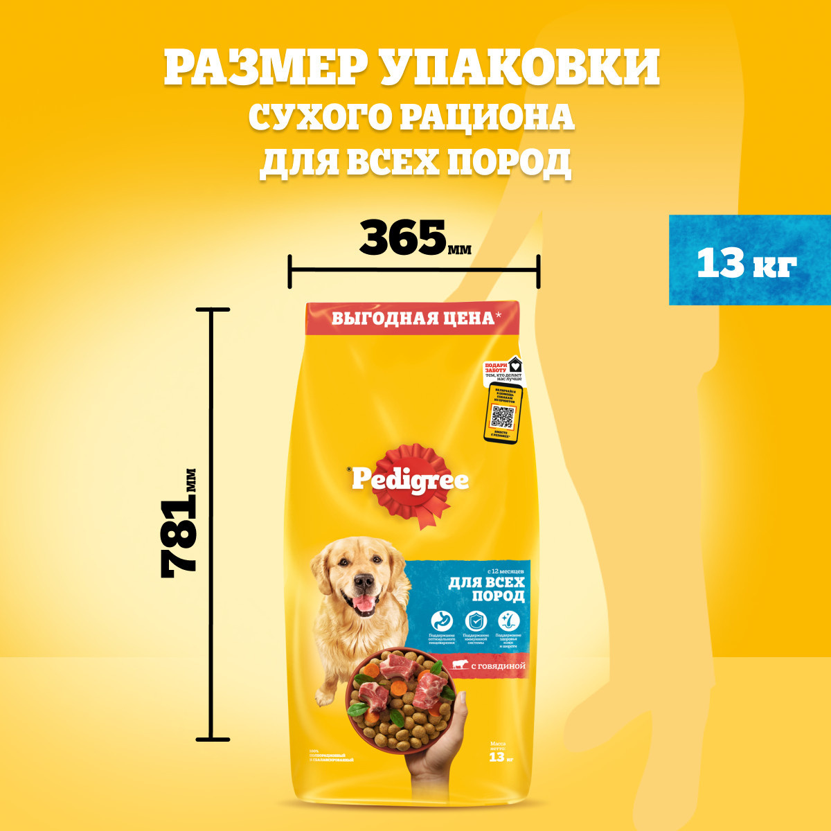 Корм Pedigree сухой корм для взрослых собак всех пород, с говядиной, Vital  Protection | Petshop.ru