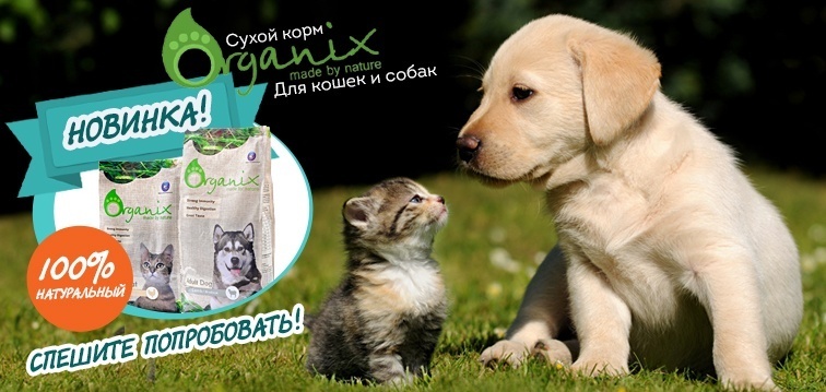Новинка! Сухой корм Organix для кошек и собак!