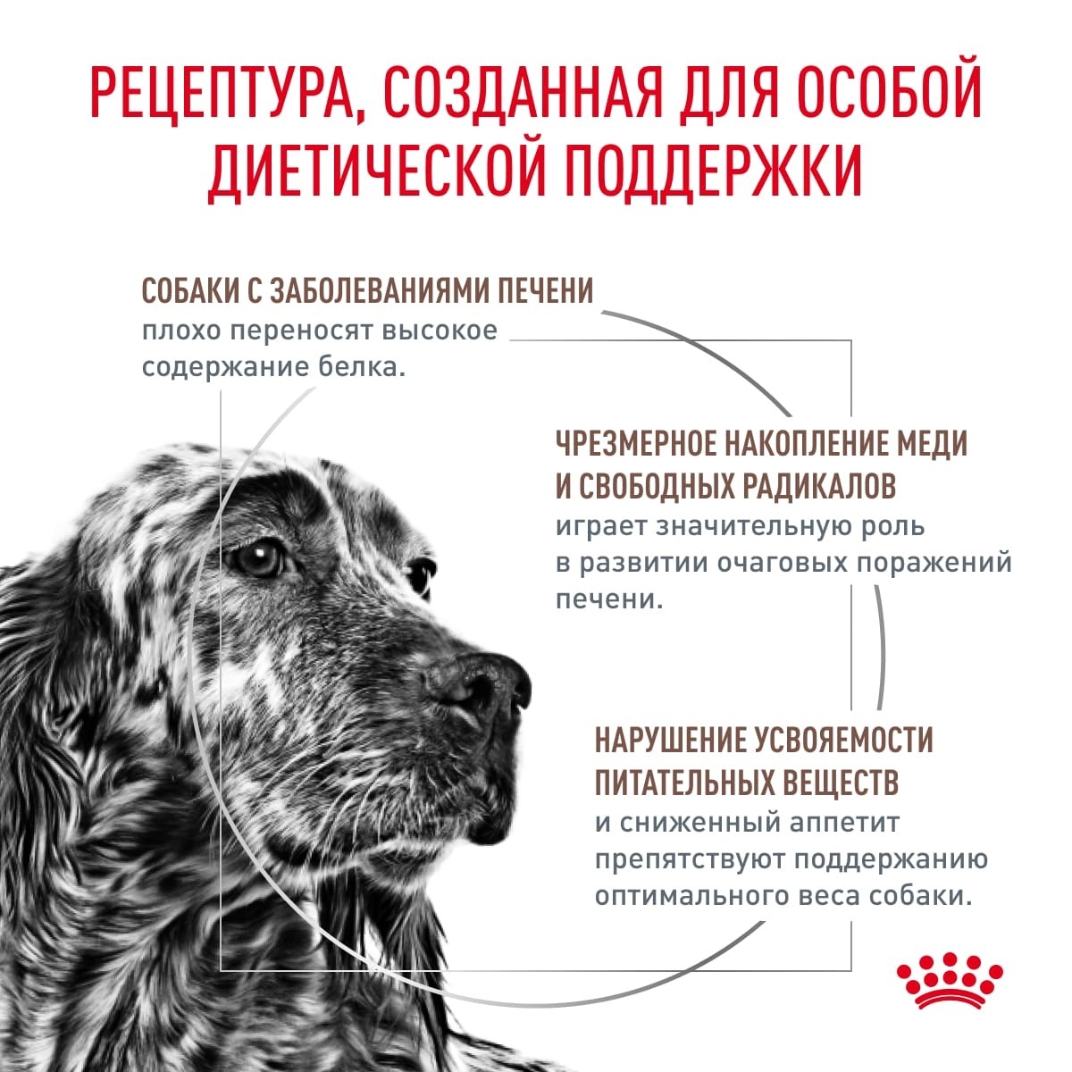 Royal Canin (вет.корма) корм для собак при заболеваниях печени, Hepatic,  ветеринарная диета для собак, хпн, лечебные корма для собак, корм для собак  лечебный, ветдиета для собак, вет.диета для собак, вет диета для