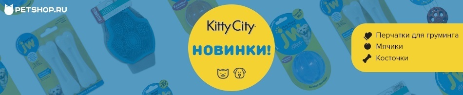 Новинки от Kitty City для собак и кошек!