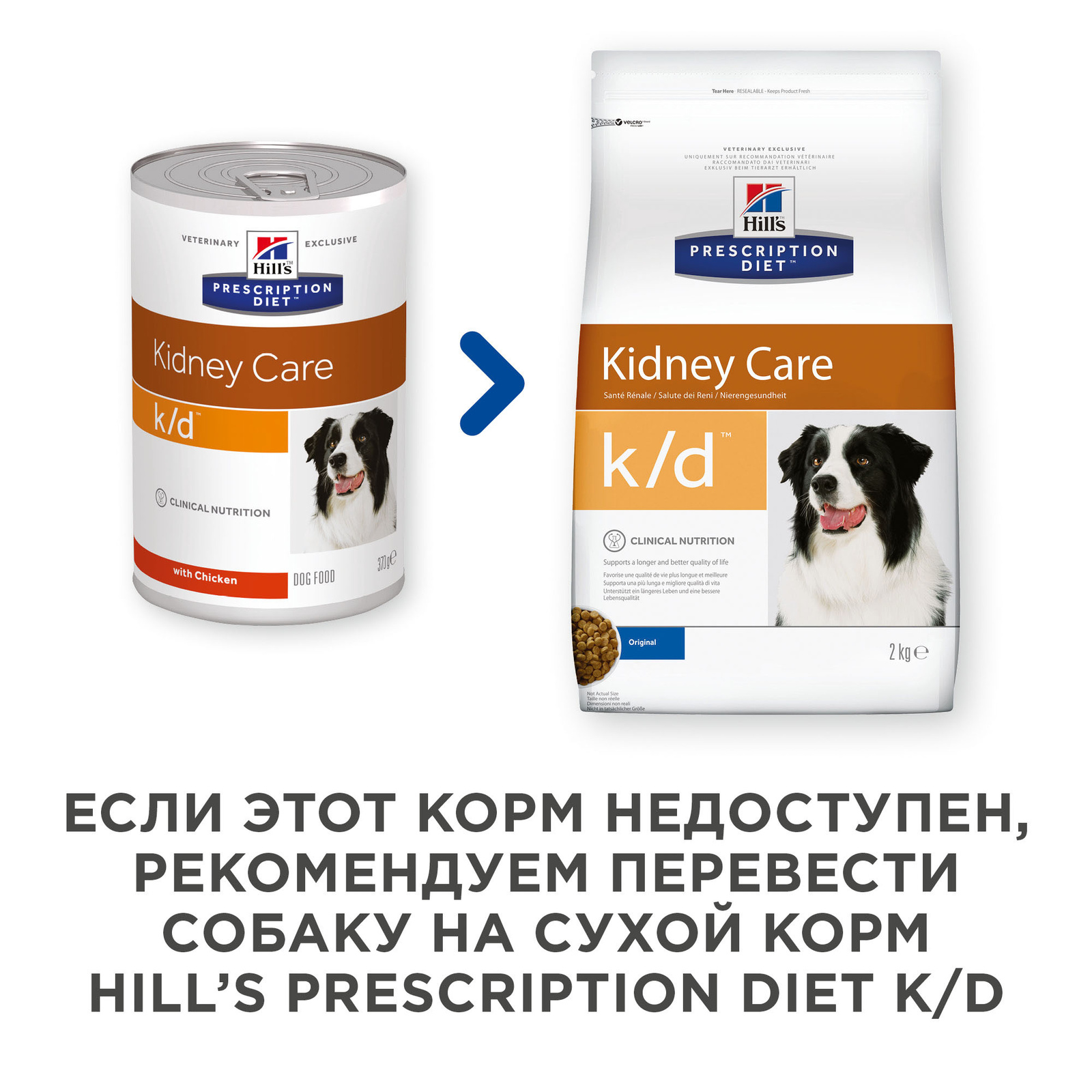 Hill's prescription diet отзывы. Лучший корм для собак при заболеваниях почек. Корм для собак Hill's Prescription Diet при заболеваниях печени 6шт. Х 370г. Корм для собак Hill's Prescription Diet k/d Kidney Care при заболеваниях почек, курица 354г.